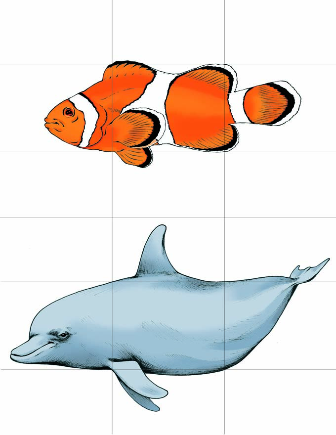 This is a full-color illustration of sample cards for the game Once Upon a Tale. The background is white, and a 3x3 grid is drawn that splits each animal into 9 equal parts. Both animals are facing left, and are drawn at differing scales so that their bodies fit together when swapped. The animals portrayed in this card are the clownfish and dolphin