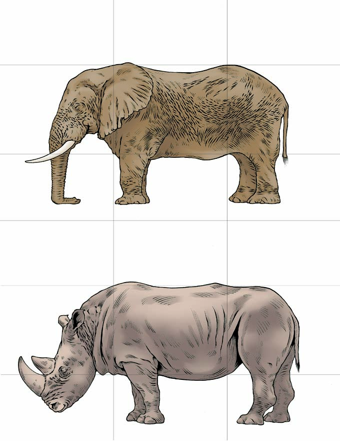 This is a full-color illustration of sample cards for the game Once Upon a Tale. The background is white, and a 3x3 grid is drawn that splits each animal into 9 equal parts. Both animals are facing left, and are drawn at differing scales so that their bodies fit together when swapped. The animals portrayed in this card are the elephant and rhino