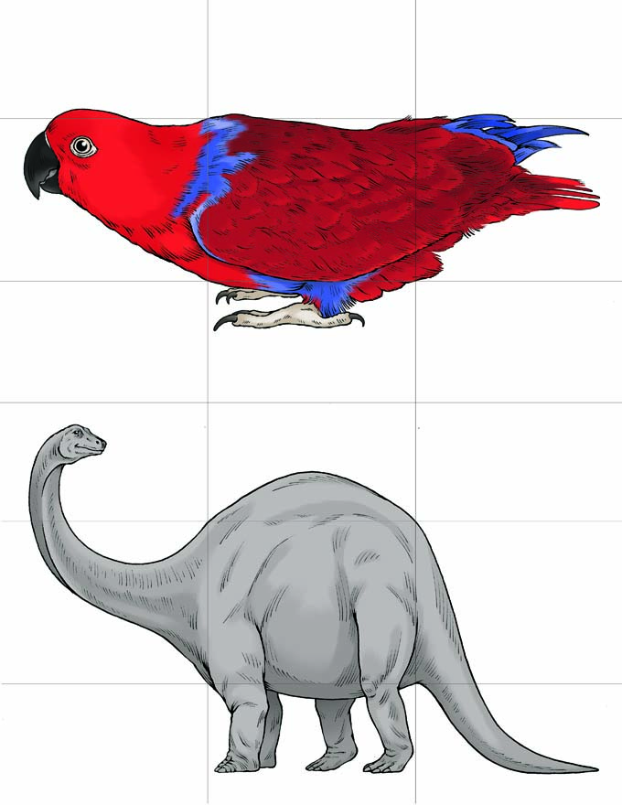 This is a full-color illustration of sample cards for the game Once Upon a Tale. The background is white, and a 3x3 grid is drawn that splits each animal into 9 equal parts. Both animals are facing left, and are drawn at differing scales so that their bodies fit together when swapped. The animals portrayed in this card are the parrot and brachiosaurus
