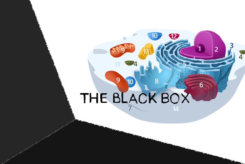 A digital image of the title screen for the game The Black Box. The left side of the image shows two sketchy black shapes that appear as if they might be the wall and ground of a box the viewer is standing inside of. The rest of the image has a white background, and contains a white biological cell that has been cut in half to show its organelles , which are a variety of different colors. Each organelle is numbered1-13. Over the cell illustration is sketchy writing that reads "The Black Box."